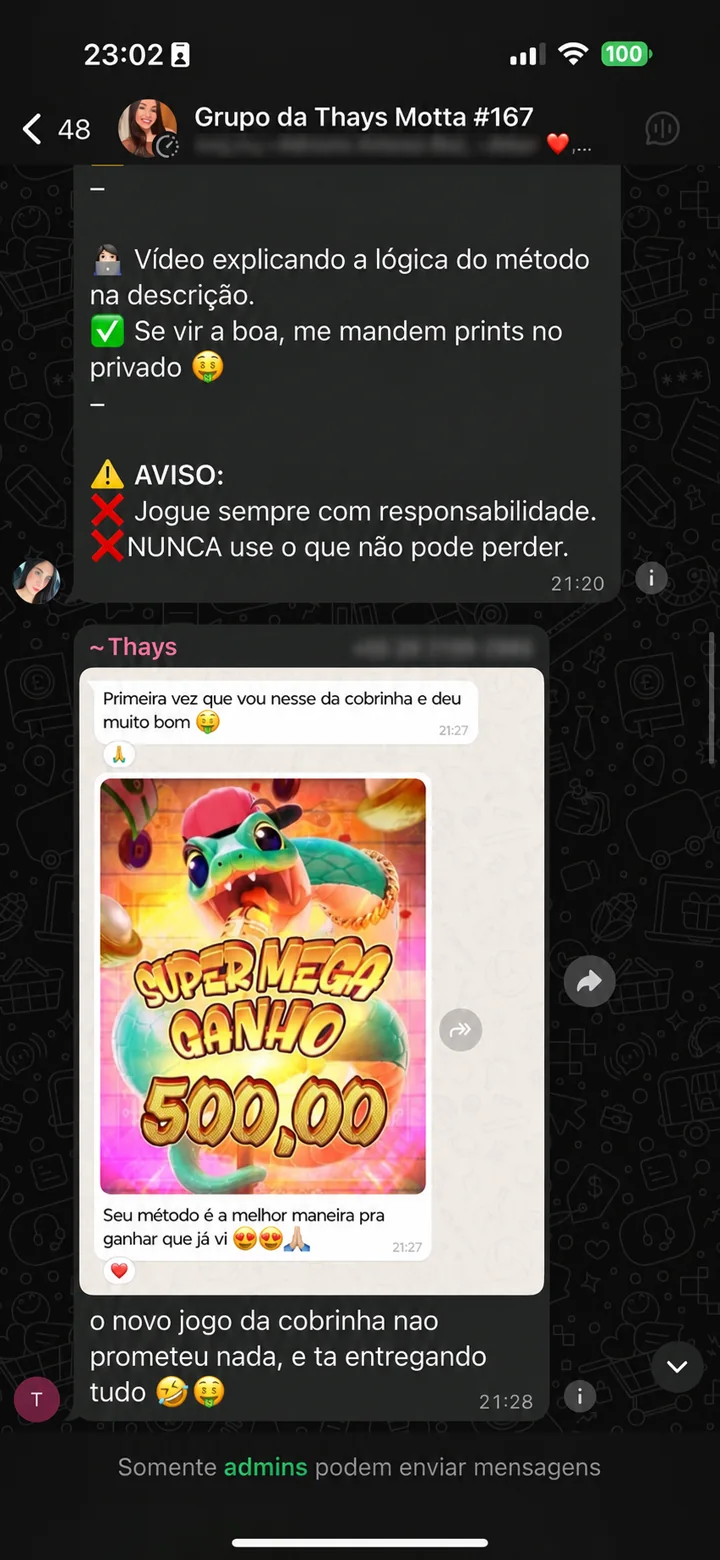 Conversa ativa no Grupo da Thays Motta, com dados pessoais desfocados